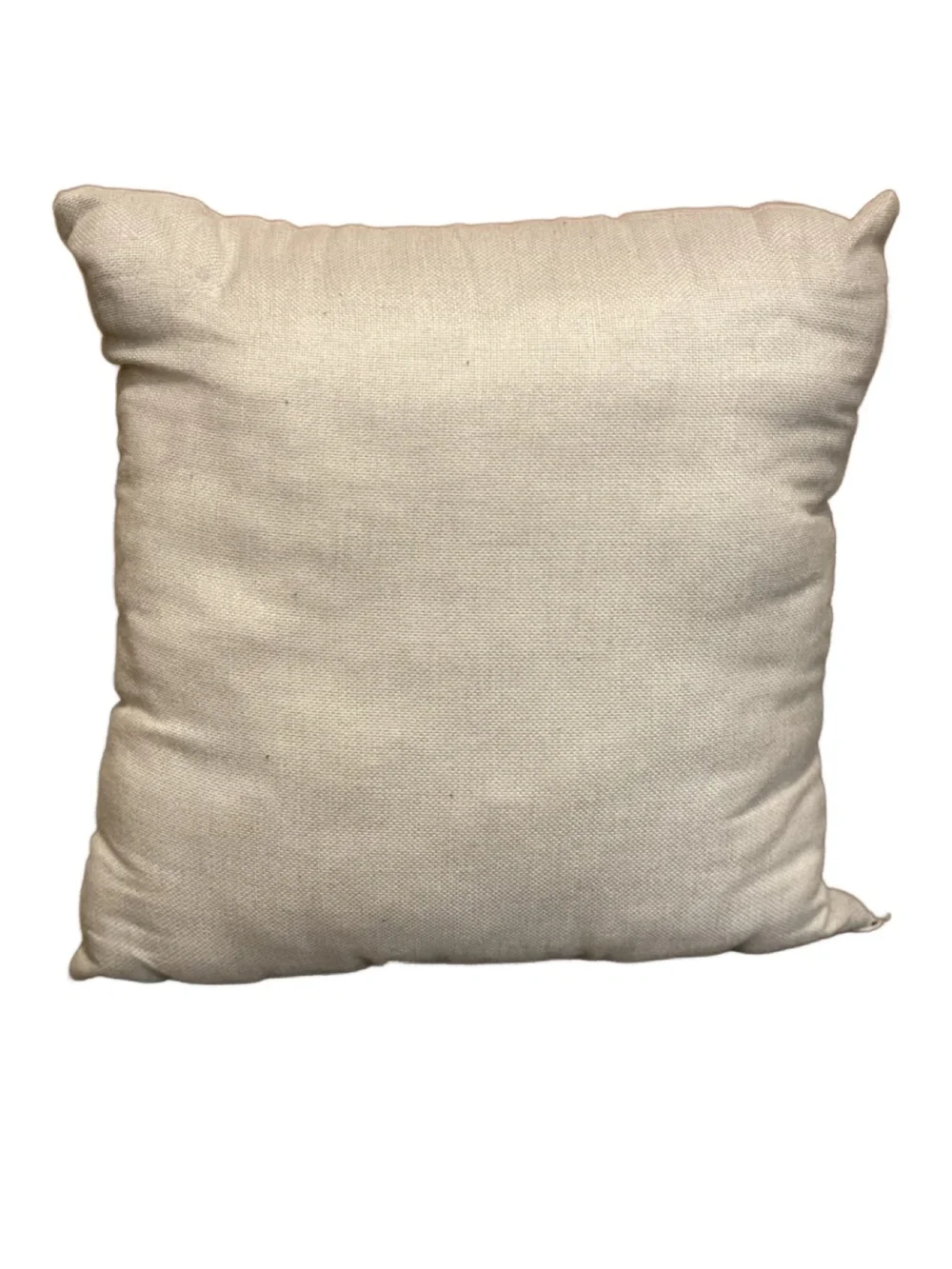 Neutral Decorative Pillow with Book Quote - Book Lovers Pillow - 17”x17”